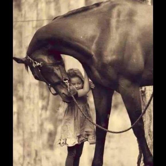 Meet your Posher, Tammy - Picture 1 of 1